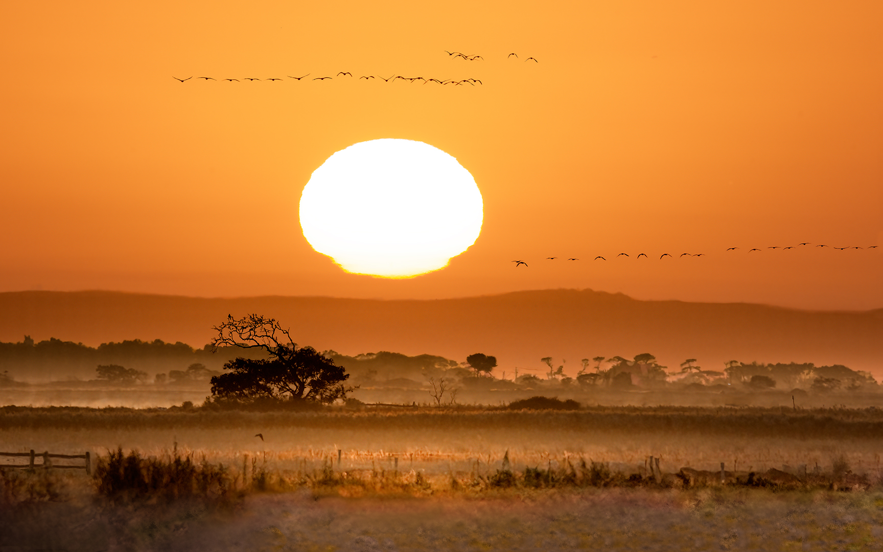 Sunrise over the You Yangs